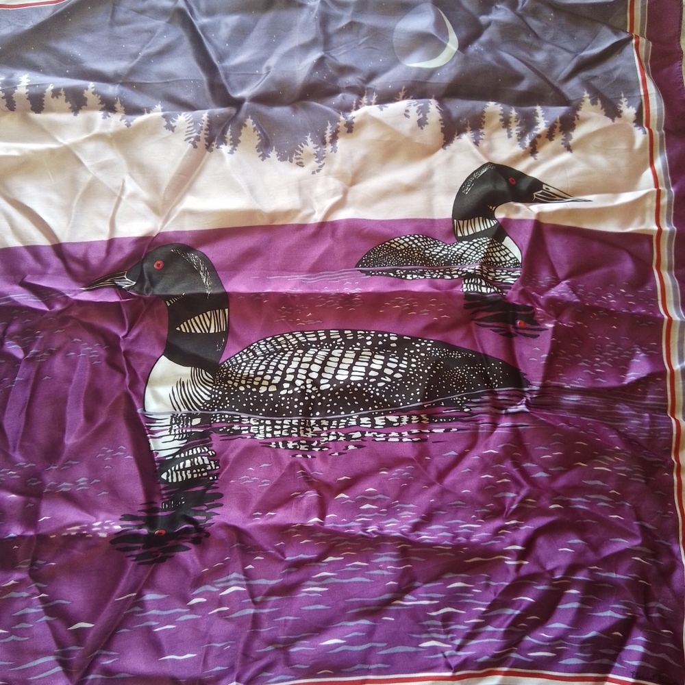 Common Loon - Picture 3 of 4